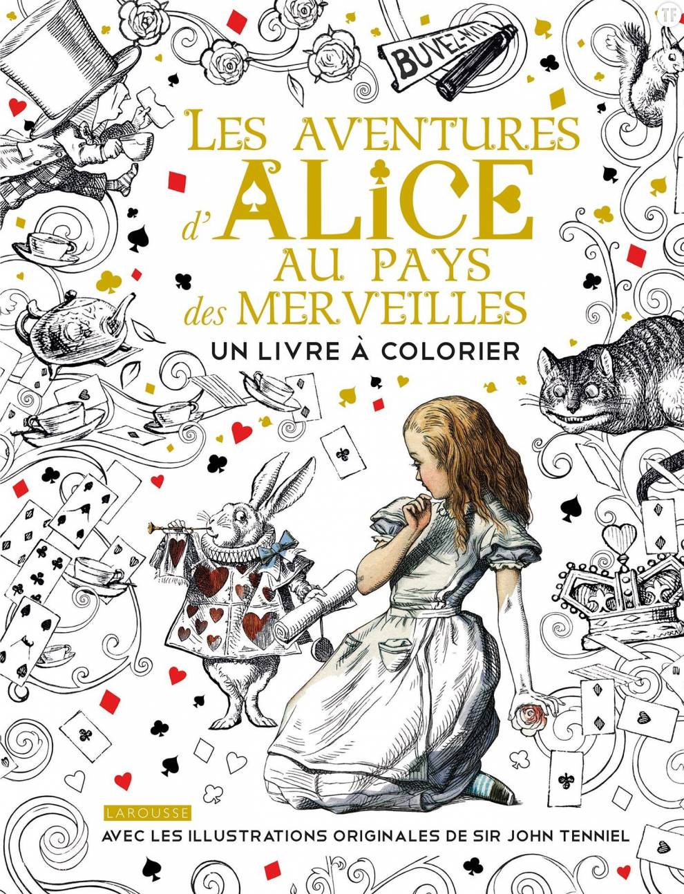   Livre à colorier, Larousse pratique éditions, 9,95€   