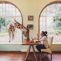 Les 7 cafés à animaux les plus insolites du monde