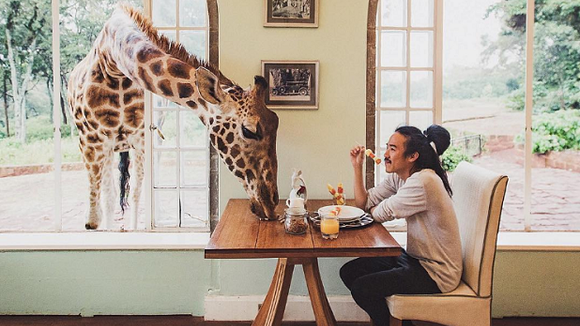 Les 7 cafés à animaux les plus insolites du monde