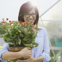 L'astuce étonnante du glaçon pour bien arroser vos plantes