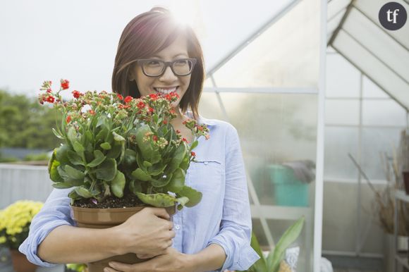 L'astuce du glaçon pour bien arroser vos plantes