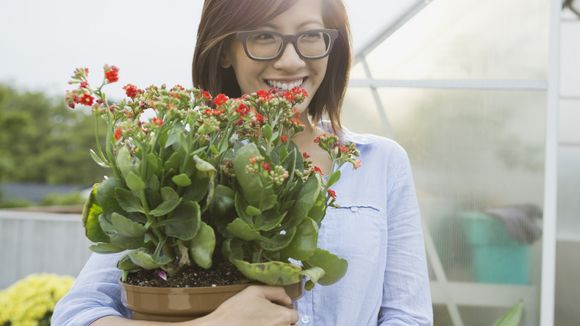 L'astuce étonnante du glaçon pour bien arroser vos plantes