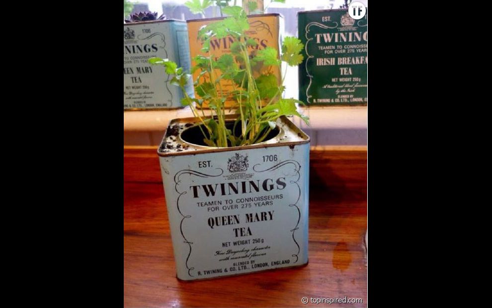 Du thé aux plantes
