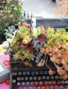 Le pot de fleurs "machine à écrire"