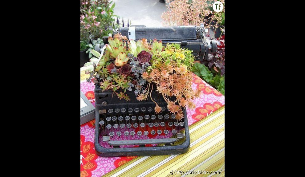 Le pot de fleurs &quot;machine à écrire&quot;