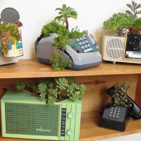 Comment recycler mes vieux objets en jardinières stylées