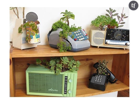 Des succulentes dans un vieux téléphone : la belle idée déco