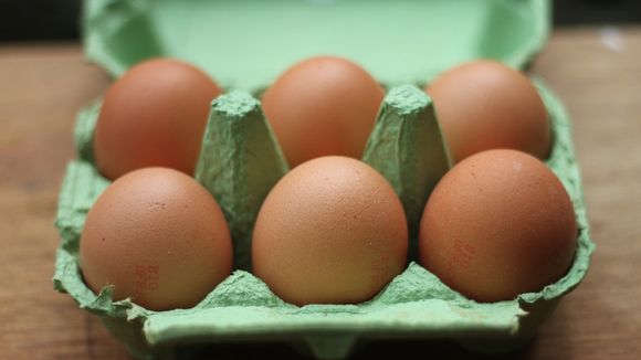 Faut-il mettre les oeufs au frigo ?