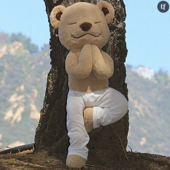 Meddy Teddy en pleine séance de yoga