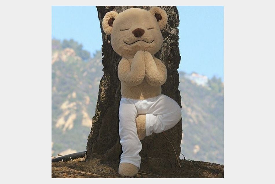 Meddy Teddy en pleine séance de yoga