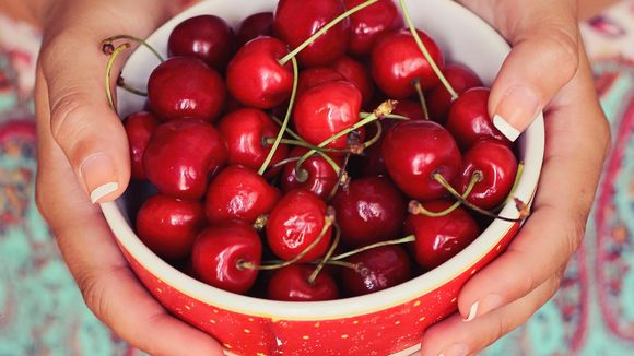 Faire pousser ses noyaux et pépins de fruits : mode d'emploi