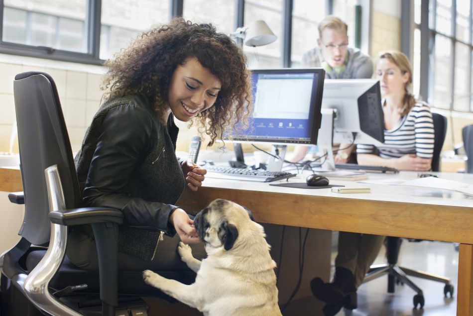 Amener son chien au bureau serait bel et bien la clef du bonheur professionnel.