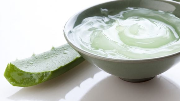 Comment faire des glaçons à l'aloe vera pour soulager les coups de soleil ?