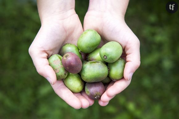 5 fruits qui changent des pommes à savourer cet automne