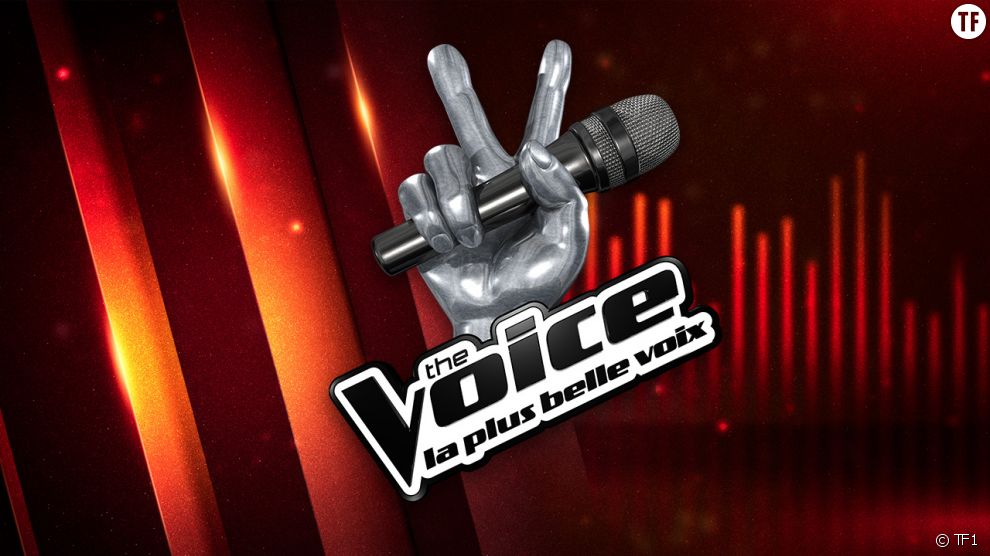 The Voice 2017 : troisièmes auditions à l&#039;aveugle sur TF1 Replay (4 mars) 