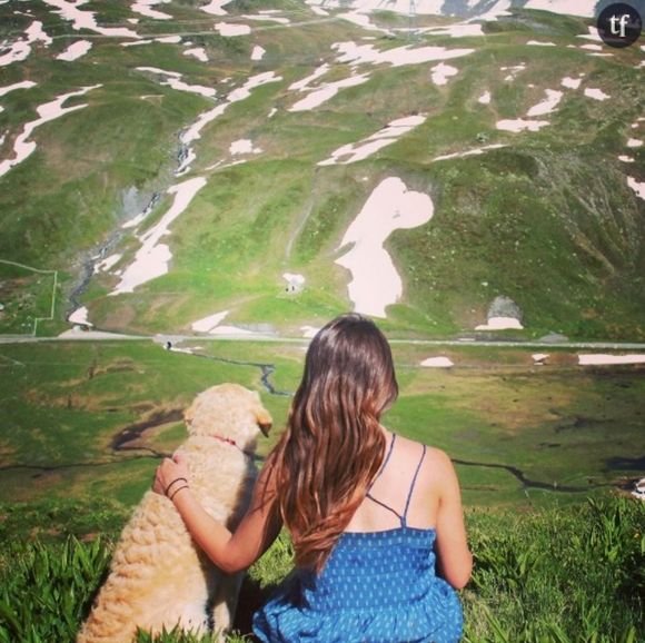 Cette fille parcourt l'Europe avec son chien dans une super camionnette.