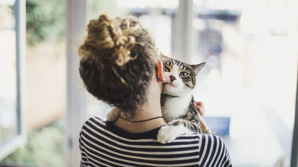 Comment je fais garder mon animal pendant les vacances ?