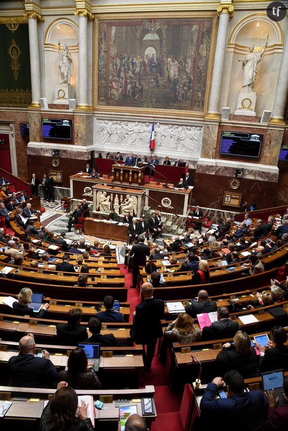 L'Assemblée Nationale française