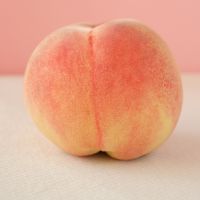 4 raisons de s'adonner au plaisir du plug anal