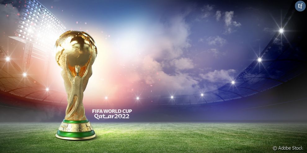         Le Qatar s&#039;est en effet opposé à la présence de drapeaux LGBT pendant la Coupe du monde        