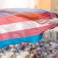 Aux Etats-Unis, l'adoption d'une loi "anti-trans" hyper répressive