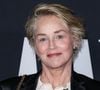 Cela se serait passé dans les années 80. Sharon Stone a témoigné d'une agression sexuelle qu'elle aurait subie : en pleine réunion, un ex dirigeant de Sony a sorti son pénis et lui a montré.