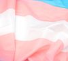 Ou vous le répétait il y a peu : "Trans rights are human rights". Les droits des personnes transgenres sont des droits humains. A travers le monde, cette évidence n'est pas partagée par tous. En France, le nombre de violences commises à l'encontre des trans aurait augmenté de 27 % en un an - c'est SOS Homophobie qui l'affirme, les témoignages de 1 506 personnes en avant. 