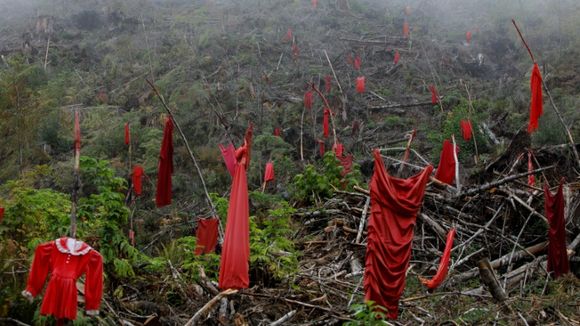 "Meurtres, disparitions, rien n'a changé" : au Canada, la lutte contre les violences faites aux femmes autochtones est un fiasco