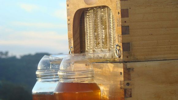 Les extraordinaires bienfaits du miel sur la santé