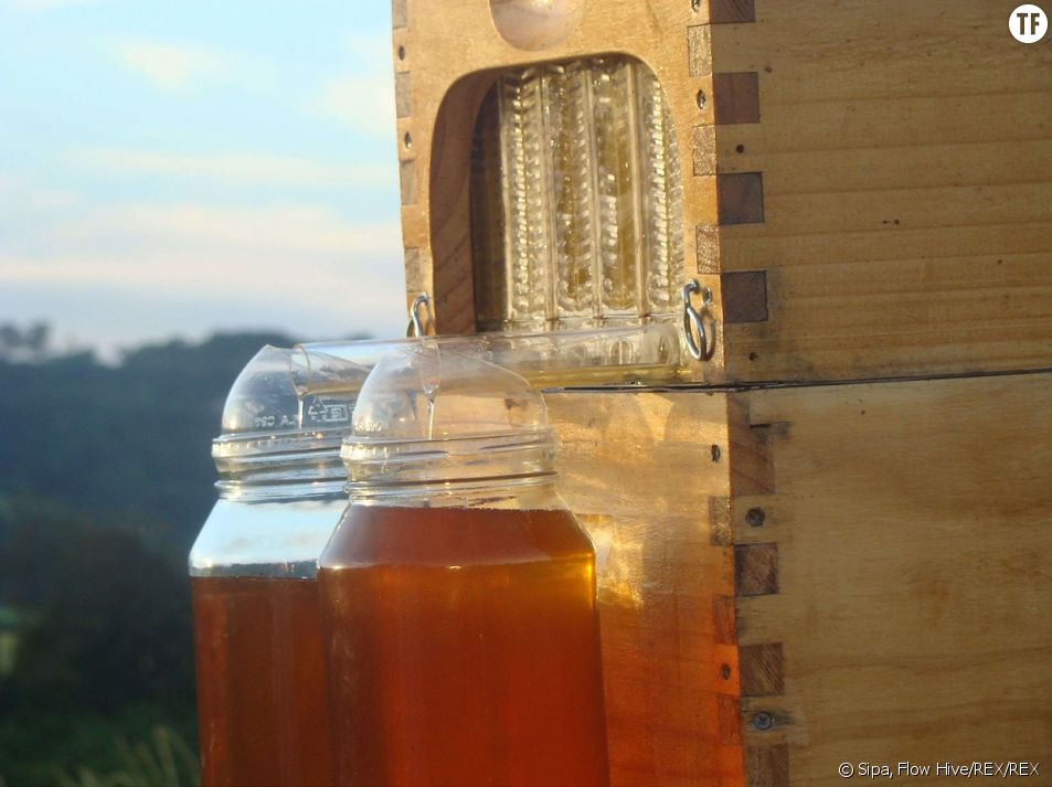 L'apiculture
