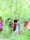 A Piplantri (Inde), les arbres et les femmes sont choyés par tout le village