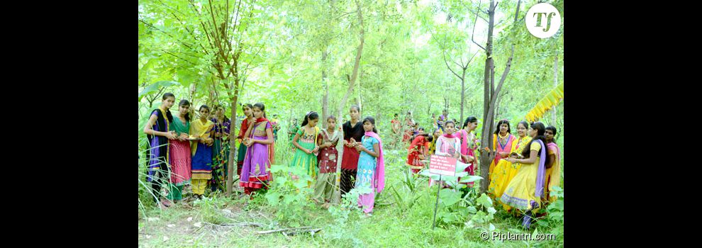 A Piplantri (Inde), les arbres et les femmes sont choyés par tout le village