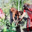 En plantant des plantes à l'aloe vera autour de leurs arbres, les habitants de Piplanti ont relancé leur économie