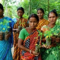 Eco-féminisme : ce village indien plante 111 arbres quand une petite fille naît