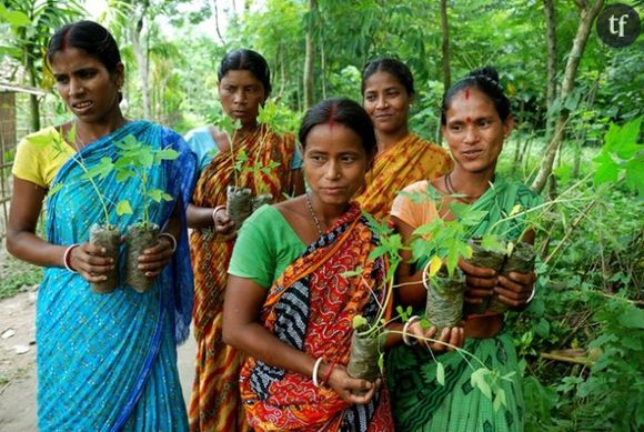 Piplantri, le village indien qui célèbre les femmes