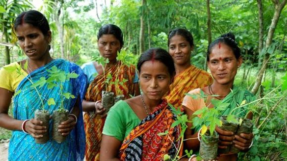 Eco-féminisme : ce village indien plante 111 arbres quand une petite fille naît