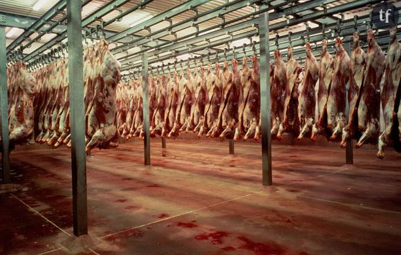 Un abattoir en Espagne