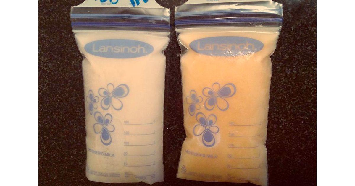 La photo d'une poche de lait maternel réfrigéré fascine la Toile
