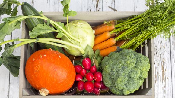 5 légumes qu'on peut faire repousser sans terre