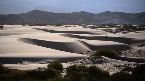 Trophée Roses des Andes 2016 : J-45