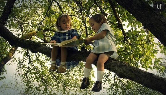 Le bonheur des arbres