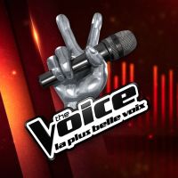 The Voice 2017 : quelle est la date de diffusion de la saison 6 ?