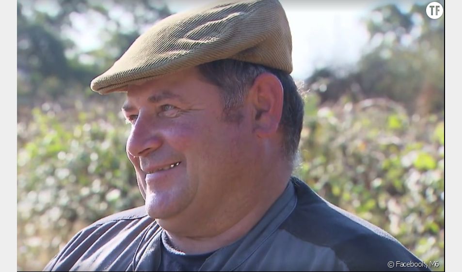 Gerard L Amour Est Dans Le Pré