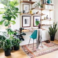 8 idées déco pour faire de votre intérieur un petit paradis végétal
