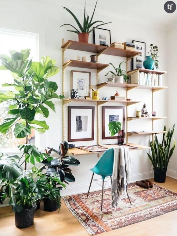 8 idées déco pour faire de votre intérieur une jungle urbaine