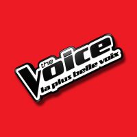 The Voice 2017 : sixièmes auditions à l'aveugle sur TF1 Replay (1er avril)