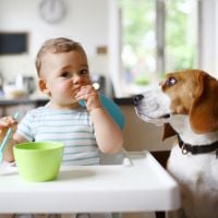 Les femmes ayant un chien auraient des bébés en meilleure santé