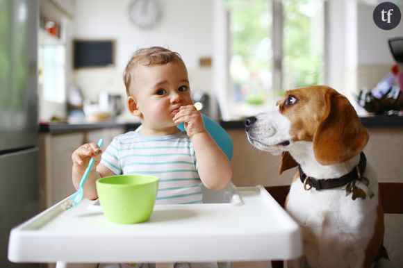 Les chiens, bons pour la santé des bébés