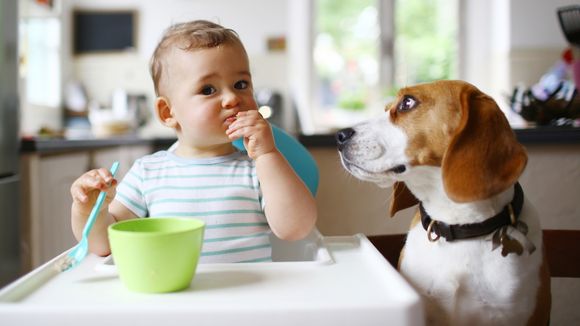 Les femmes ayant un chien auraient des bébés en meilleure santé