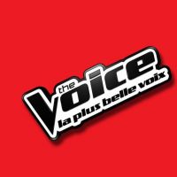 The Voice 2017 : les troisièmes battles à revoir sur TF1 Replay (29 avril)